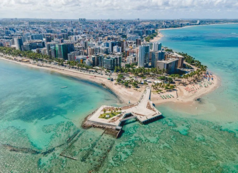 Corais voltam aos recifes de Maceió com placas feitas de casca de sururu