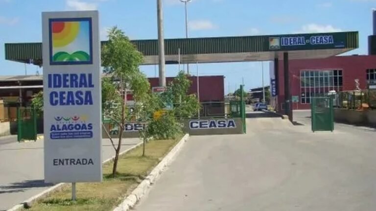 Estudo da FGV contratado pelo governo de Alagoas diz que concessão da Ceasa pode encarecer frutas e verduras