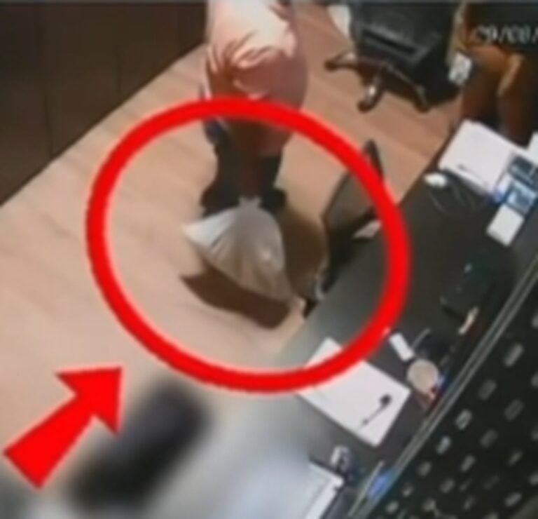 Polícia indicia ex-funcionários de academia por maus-tratos e morte de gata em Maceió