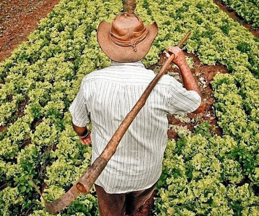 Agricultor