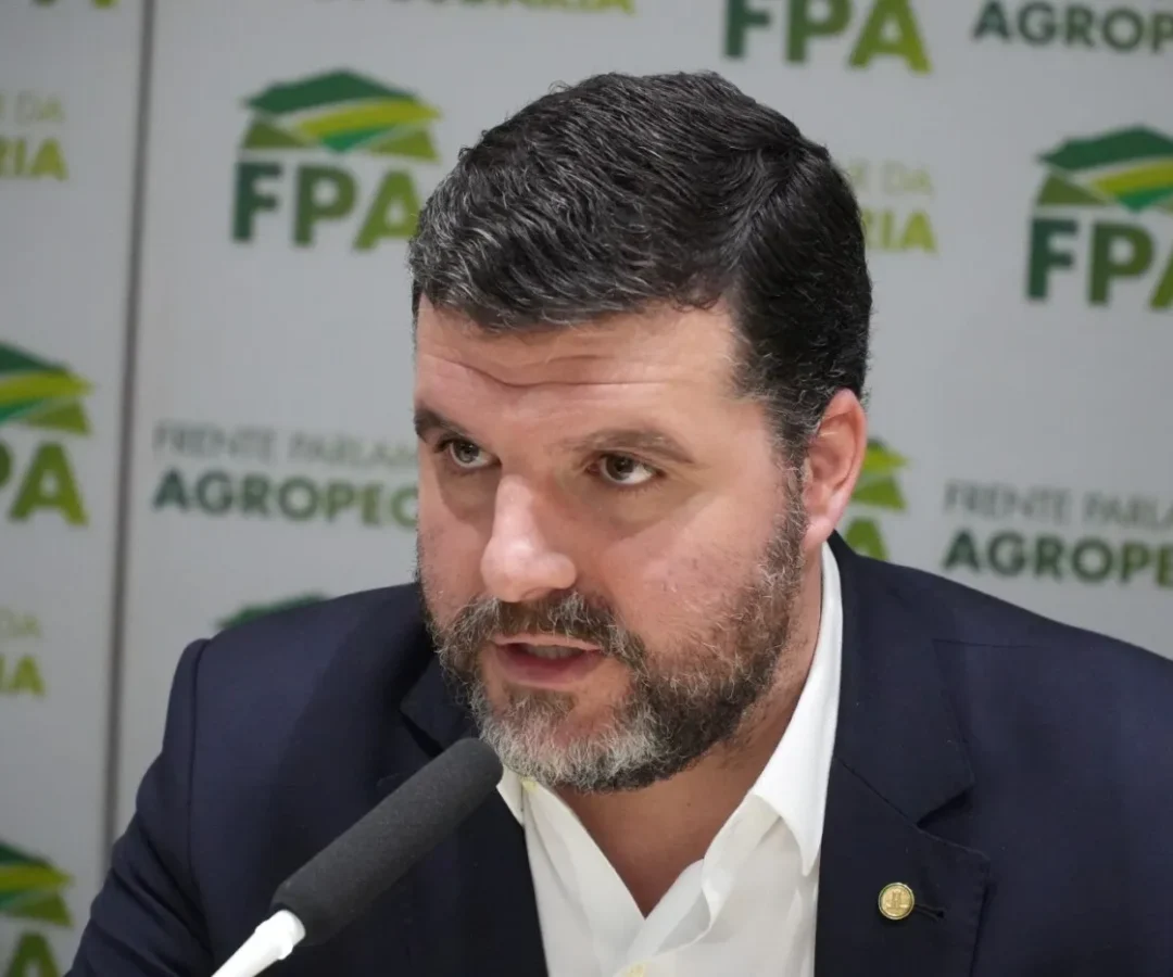 Deputado Pedro Lupion