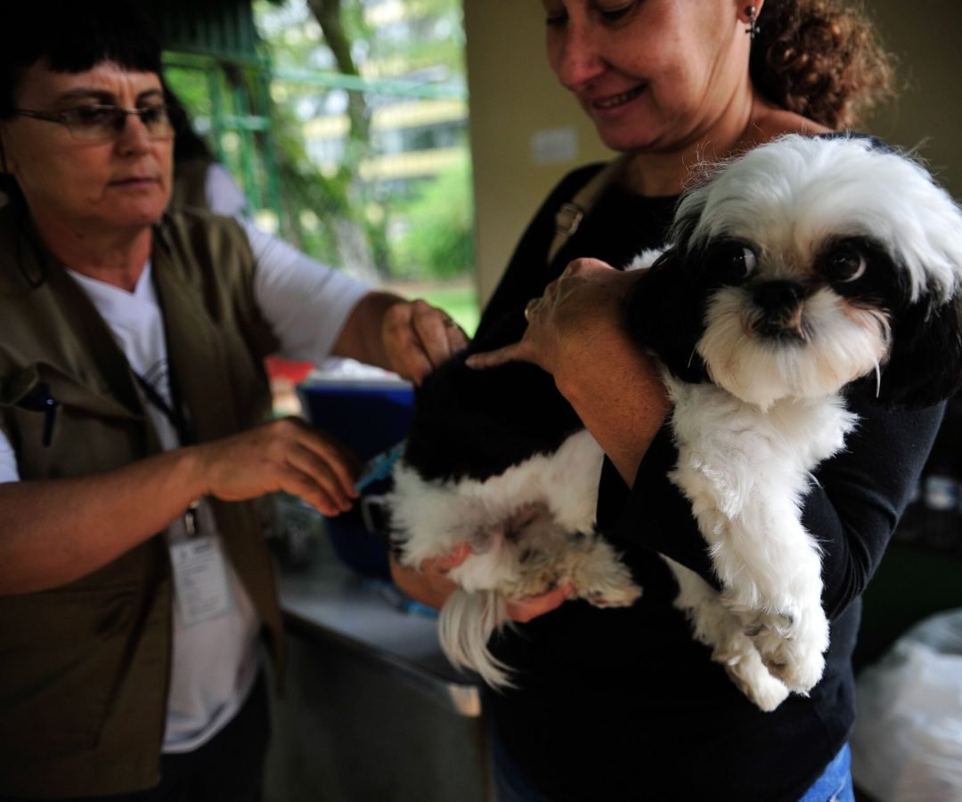 Campanha de vacinação antirrábica começa em Alagoas na terça-feira (3)