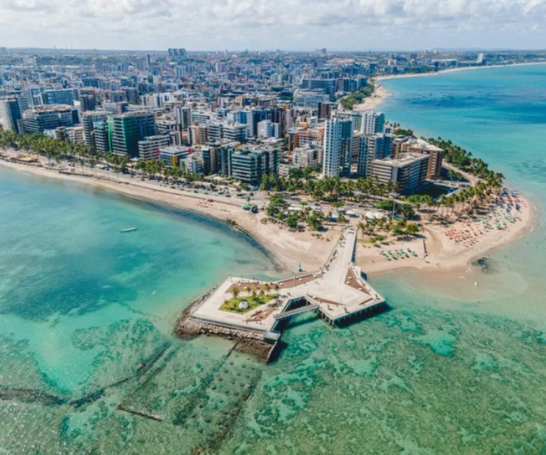 Corais voltam aos recifes de Maceió com placas feitas de casca de sururu
